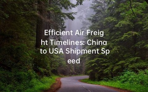 Efficient Air Freight Timelines: China to USA Shipment Speed