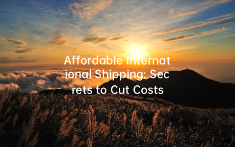 Affordable International Shipping: Secrets to Cut Costs