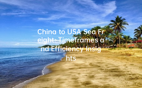 China to USA Sea Freight: Timeframes and Efficiency Insights