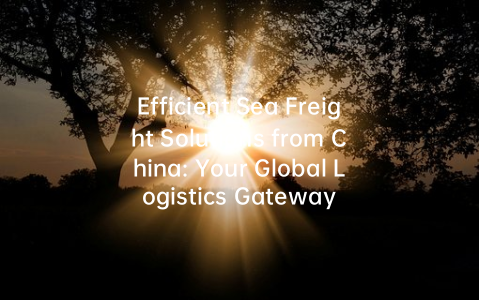 Efficient Sea Freight Solutions from China: Your Global Logistics Gateway